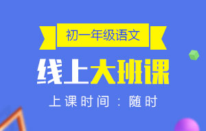 初一年級(jí)語(yǔ)文線上10人大班課